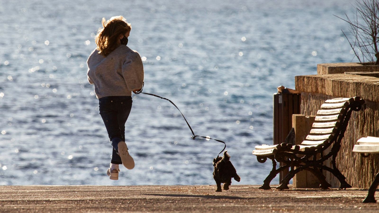 Un veterinario compone música como terapia para sus pacientes caninos