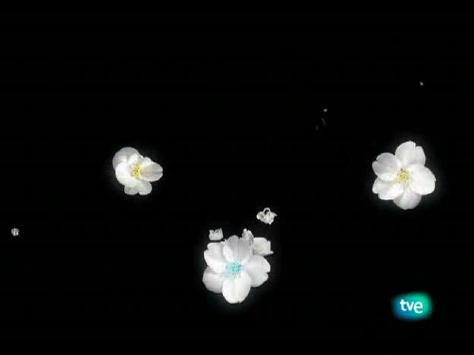 El jardín de los sueños - El Jardín de los Sueños | Ver