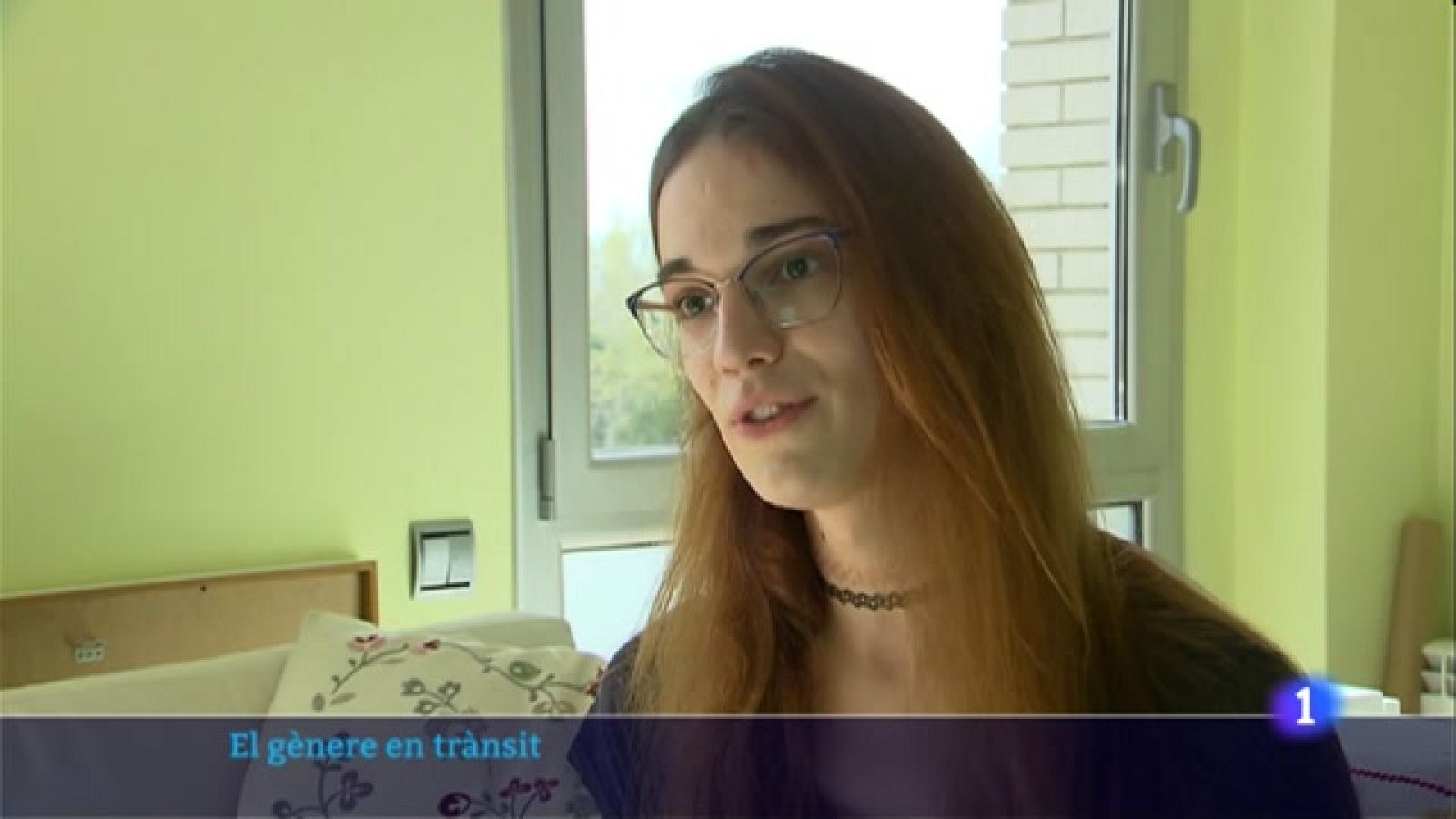 El col·lectiu reclama aprovar ja l'assignatura pendent de la llei trans