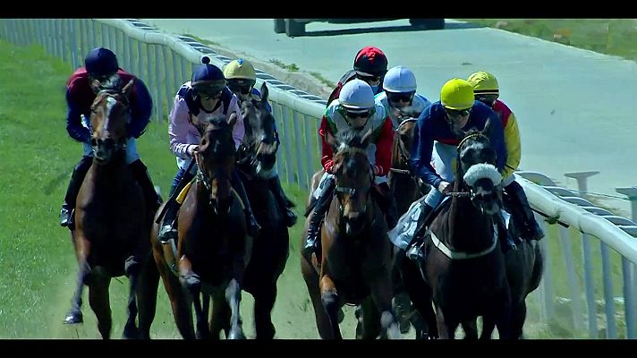 Hípica - Circuito nacional carreras caballos (Hip. La Zarzuela)
