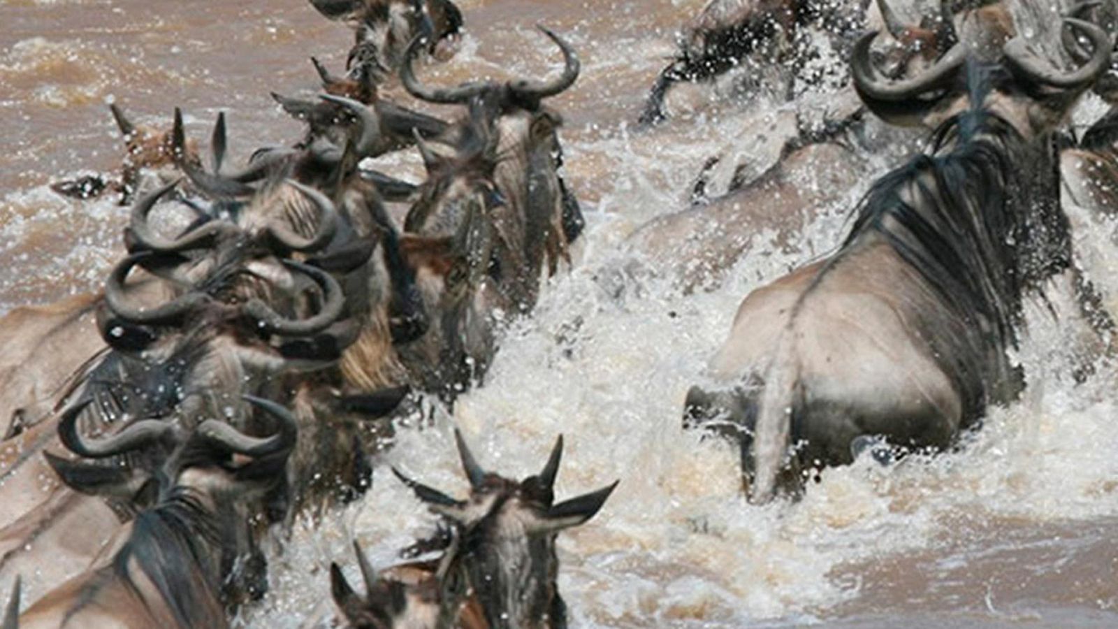 Grandes documentales - Cazadores creativos: Las trincheras - ver ahora