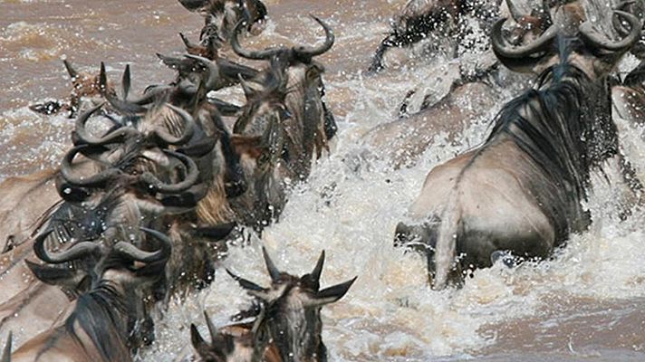 Grandes documentales - Cazadores creativos: Las trincheras