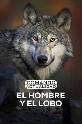 Comando Actualidad - El hombre y el lobo
