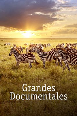 Supervivientes de la naturaleza - Apetitos animales