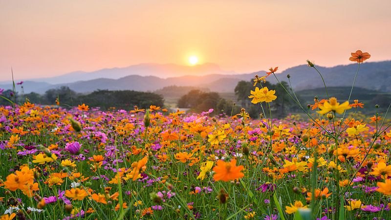 Temperaturas en descenso en el extremo norte y en aumento en el sureste - Ver ahora