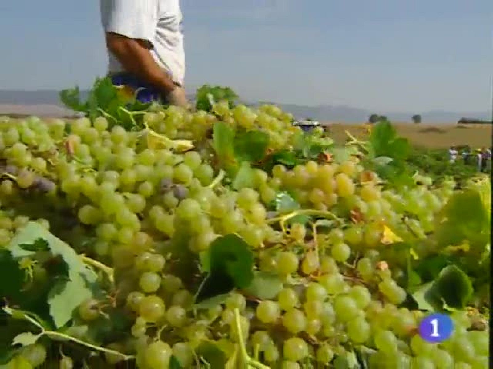 Noticias de Castilla-La Mancha.Informativo de Castilla-La Mancha.(11/09/09)