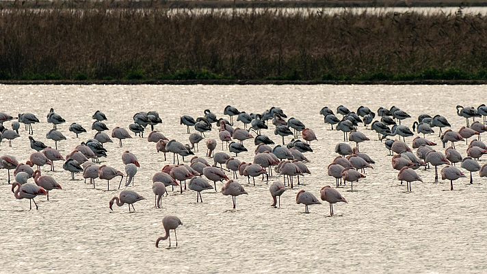 Somos Documentales - Dormir para vivir