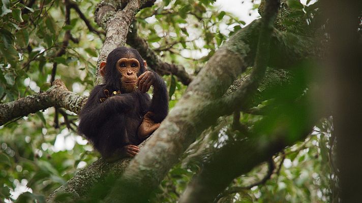 El espectáculo de la Tierra - El planeta cambiante