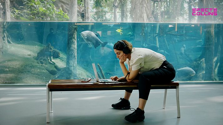 Efecte Collins - Els arxius sonors en l'obra de Maria Arnal i Marcel Bagés