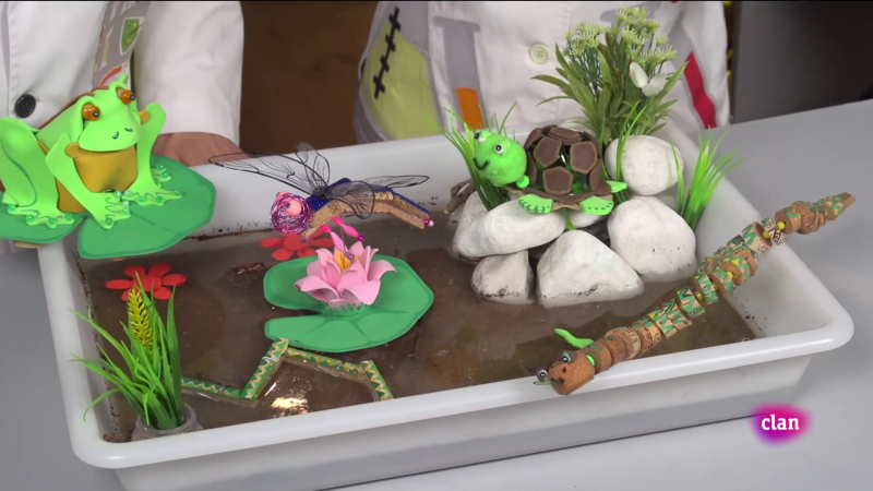 Aprendemos en Clan - RETO - Una charca en casa - RTVE.es - Aprendemos en Clan | Ver