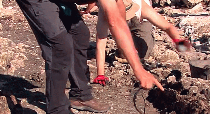 La aventura del Saber - El túnel del tiempo: El Pendón de Reinoso 1