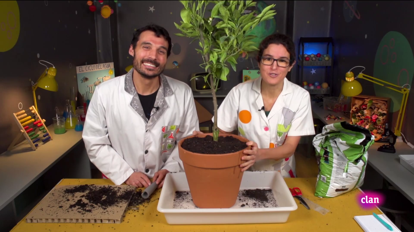 Aprendemos en Clan - RETO - Vamos a plantar un árbol - RTVE.es - Aprendemos en Clan | Ver