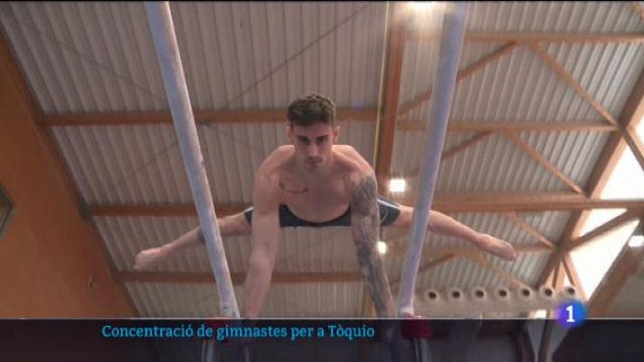 Informatiu Balear - Adrià Vera i Nicolau Mir aspiren a integrar l'equip de Tòquio 2021.