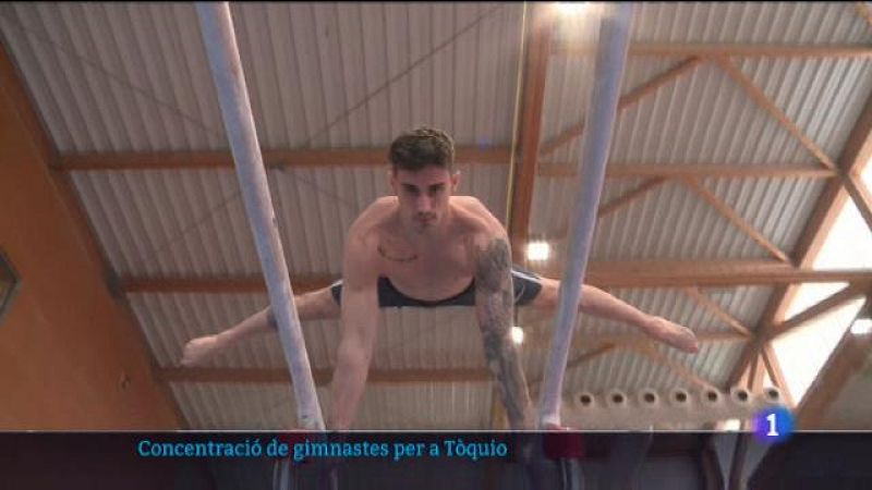 Adrià Vera i Nicolau Mir aspiren a integrar l'equip de Tòquio 2021.