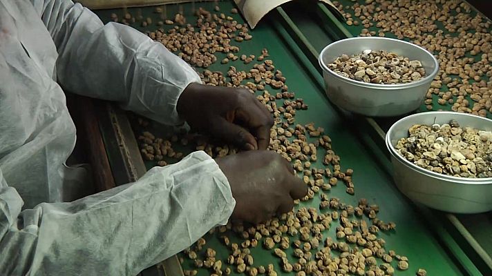 Aquí la Tierra - Aquí la Tierra - 08/04/21