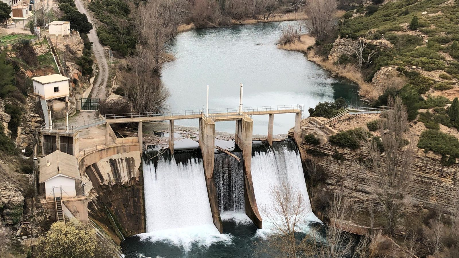 El escarabajo verde - El agua en la balanza - ver ahora
