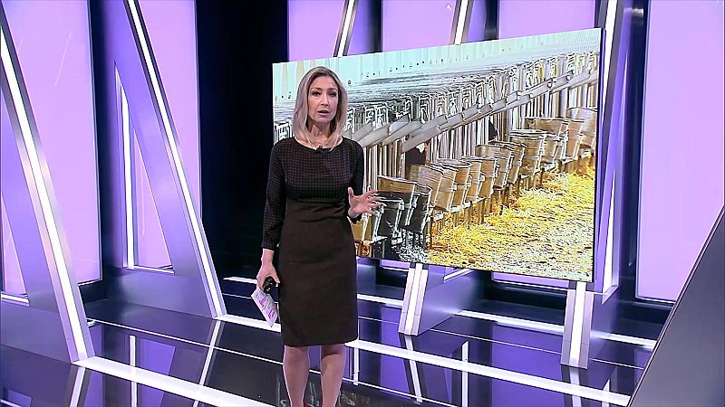 Informe Semanal - 10/04/21 - ver ahora