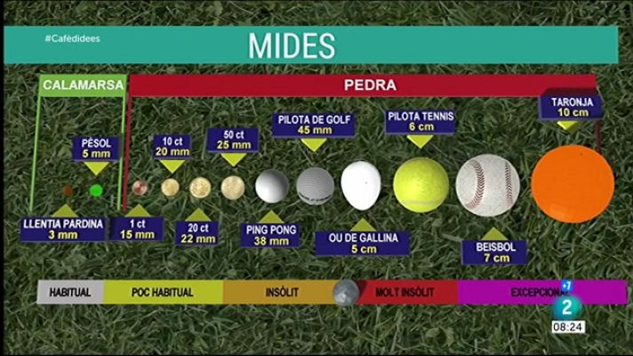 Cafè d'idees - Quina diferència hi ha entre la calamarsa i la pedra?