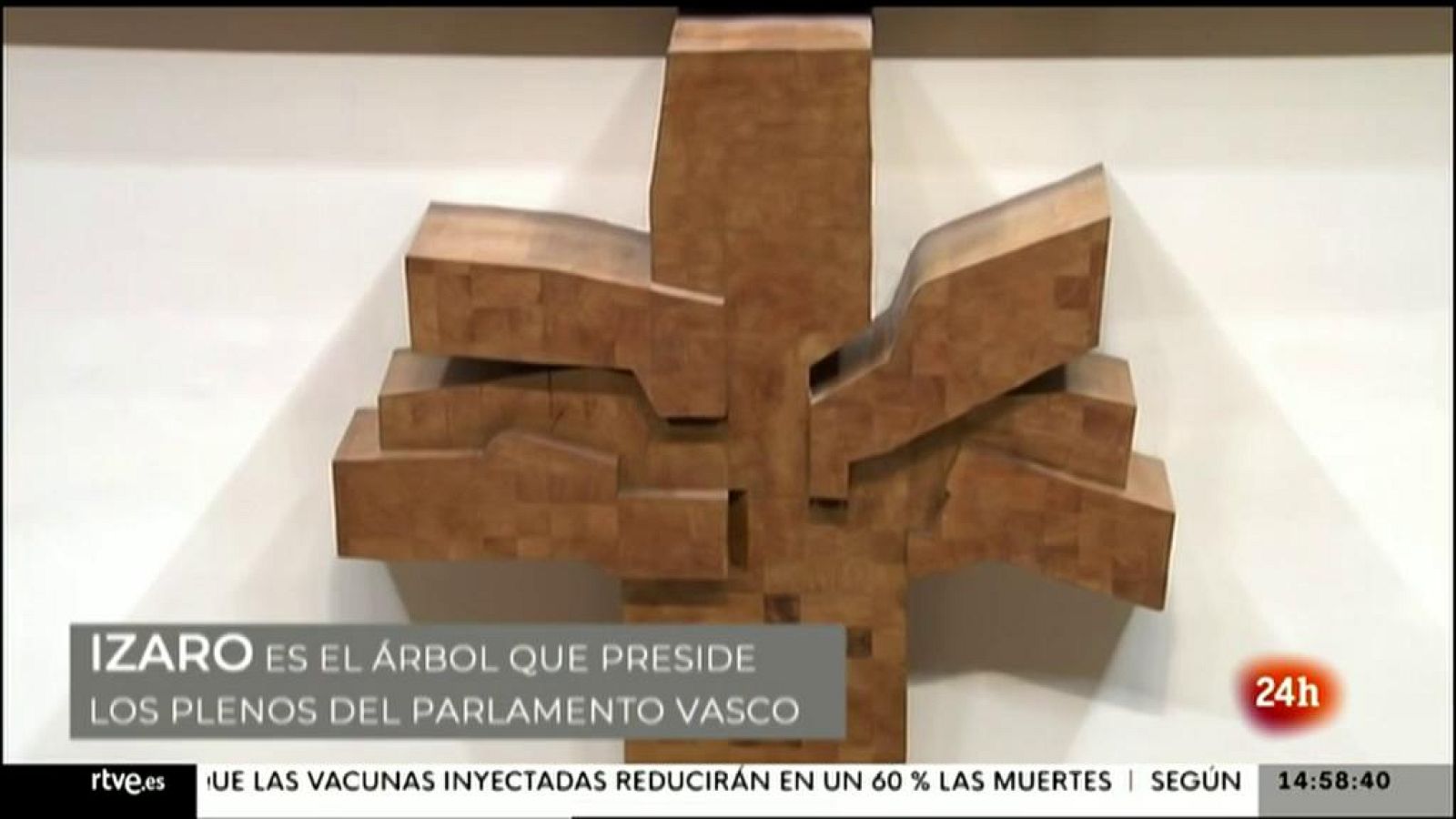 Parlamento - Otros parlamentos - Izaro, el arbol que preside los plenos del Parlamento Vasco - 10/04/202