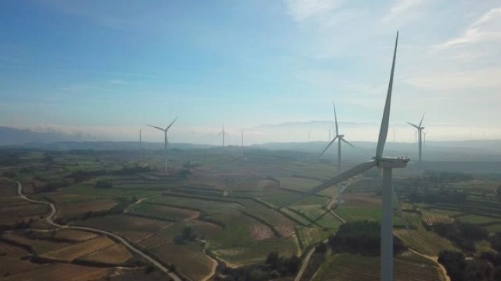 Repor - El maná verde