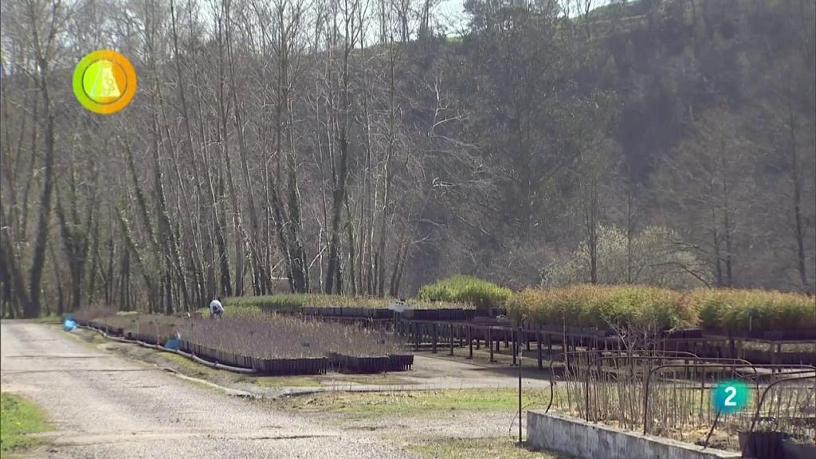 Laboratorio de ideas, Aguacate Cantabria