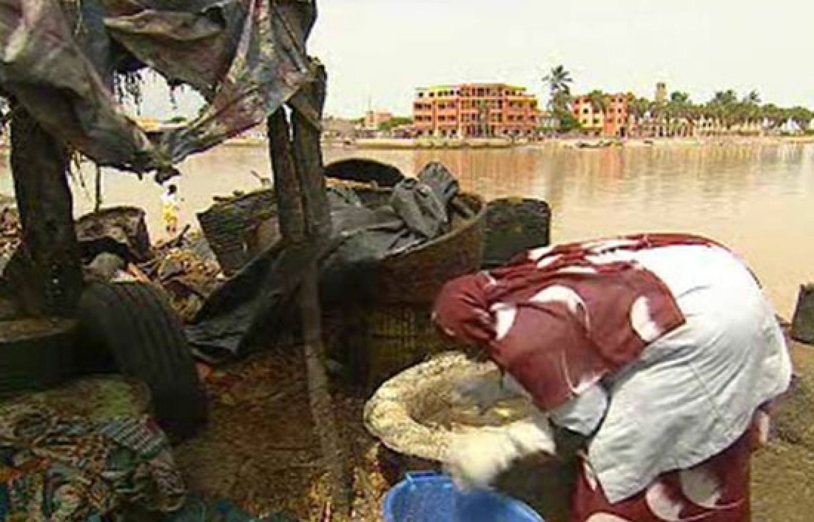 Cooperación, raíces de futuro (Informe Semanal)