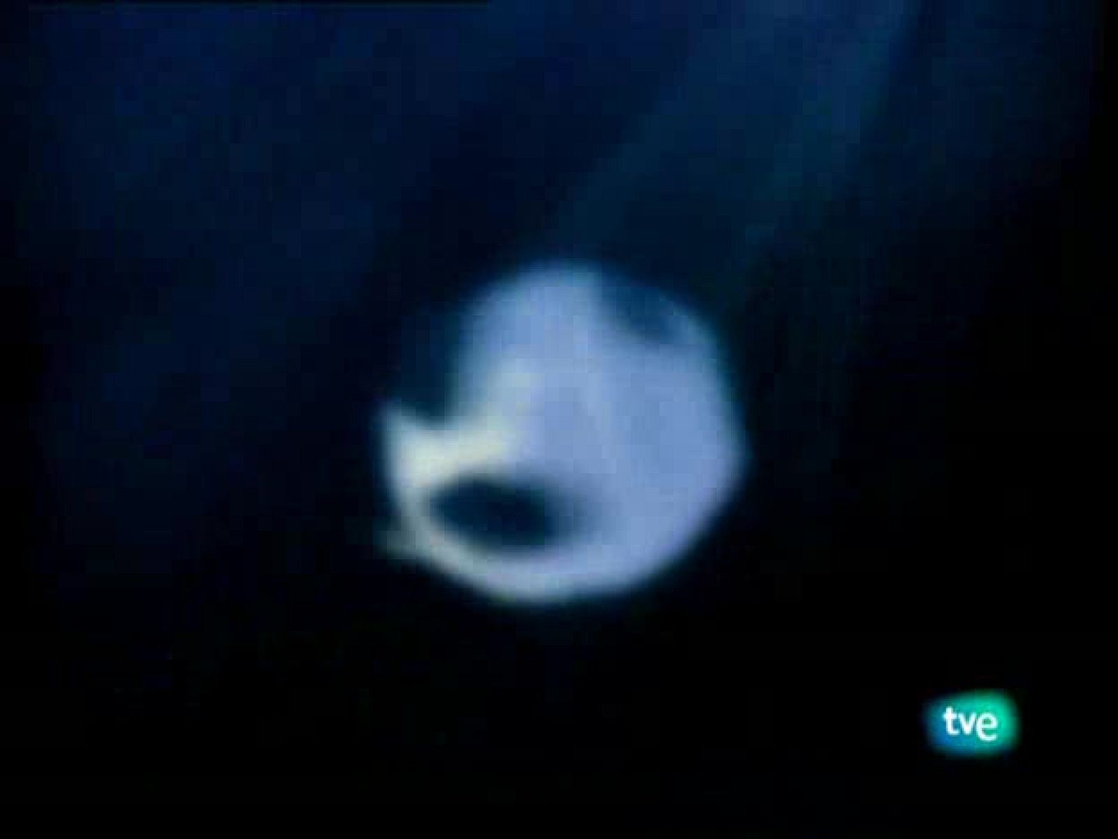 Los guardianes del planeta - Lágrimas de cocodrilo - Los guardianes del planeta | Ver