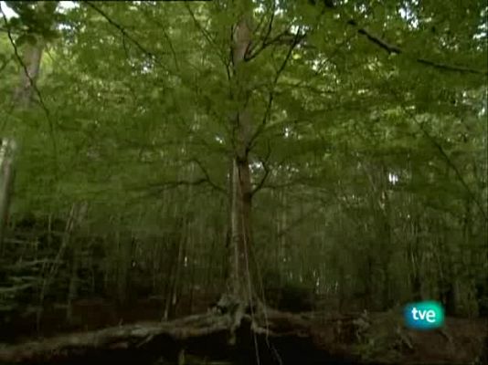 Metrópolis - El Sol