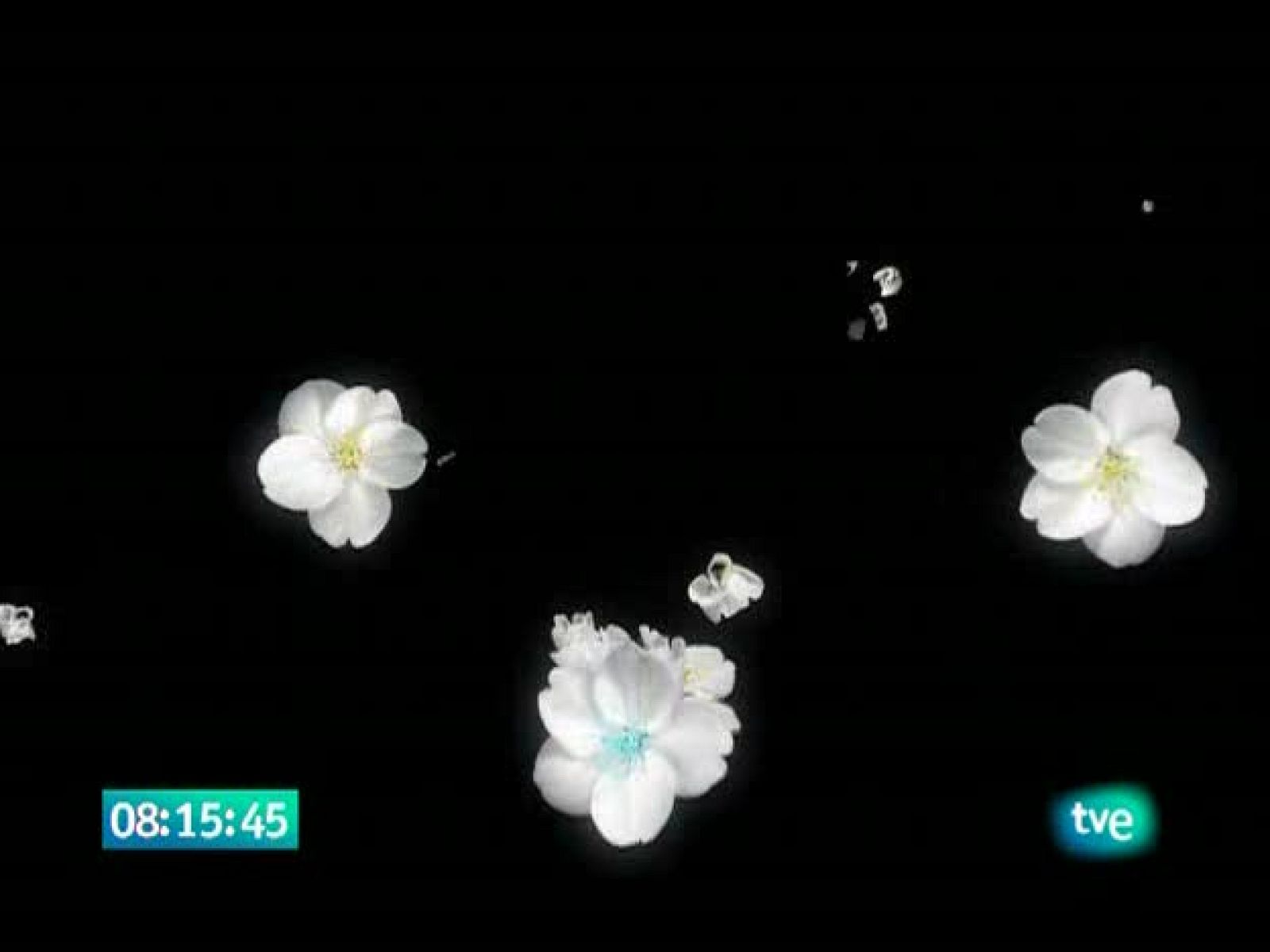 El jardín de los sueños - El Jardín de los Sueños | Ver