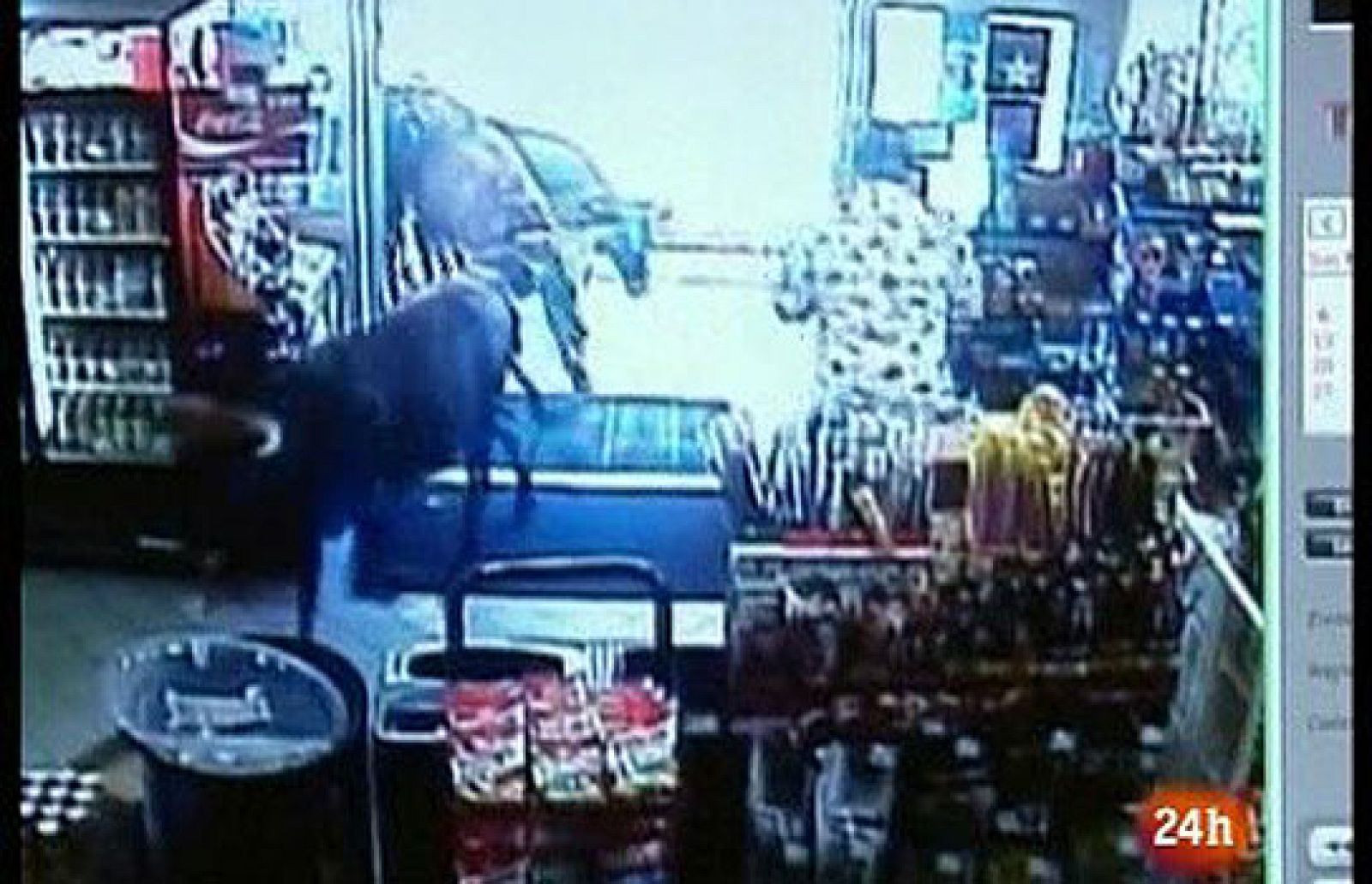 Bueyes en una tienda de Washington