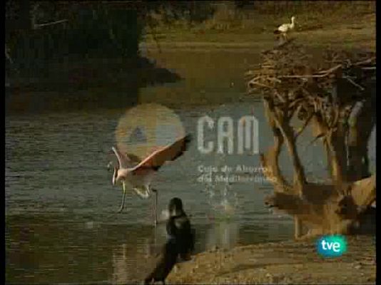 Guardianes de hábitat - Programa presentación