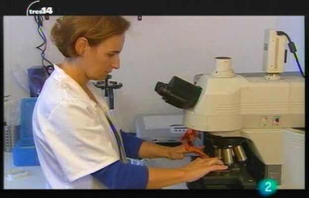 tres14 - Medicamentos del mar