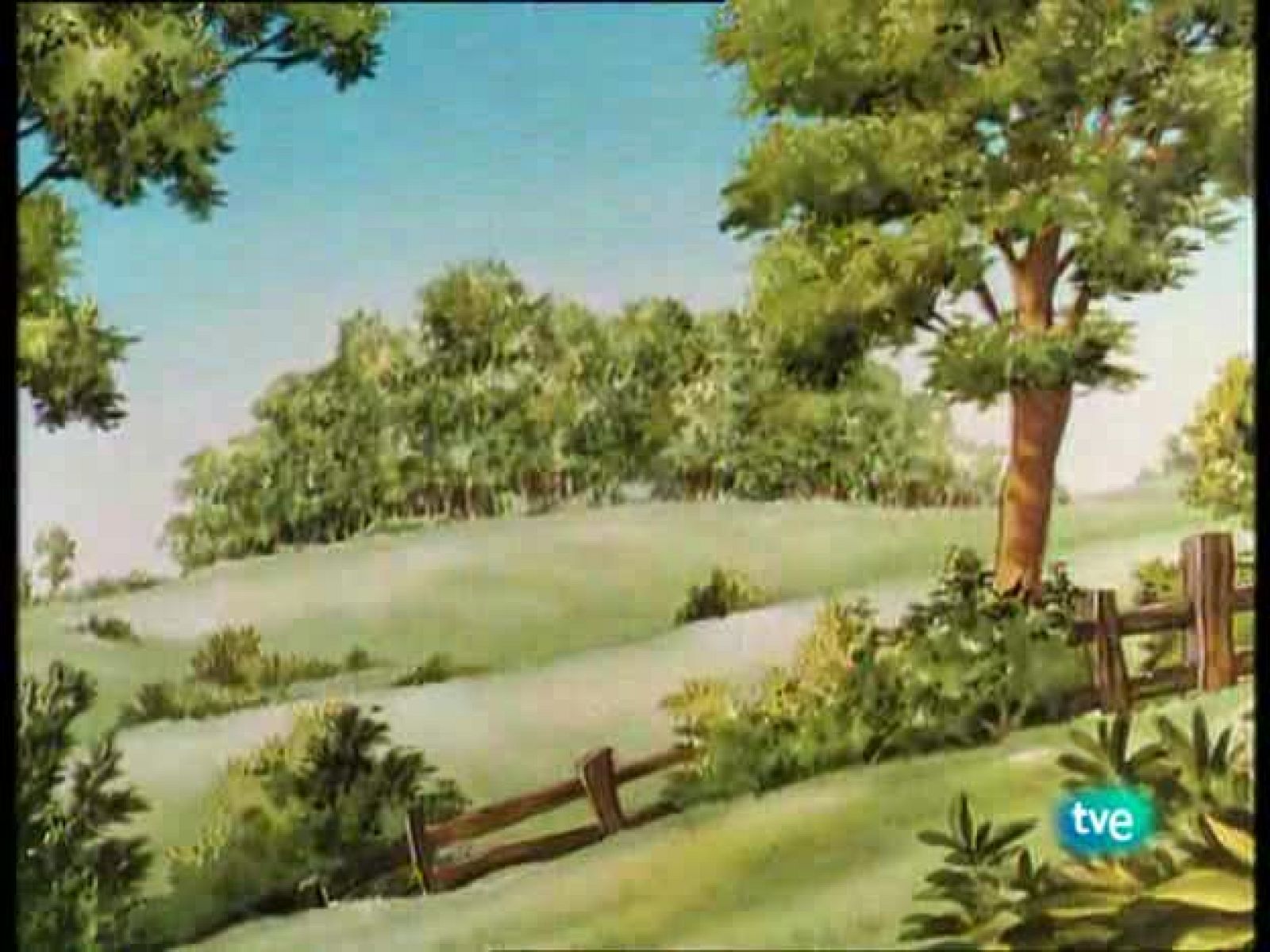 Los animales del bosque | Ver