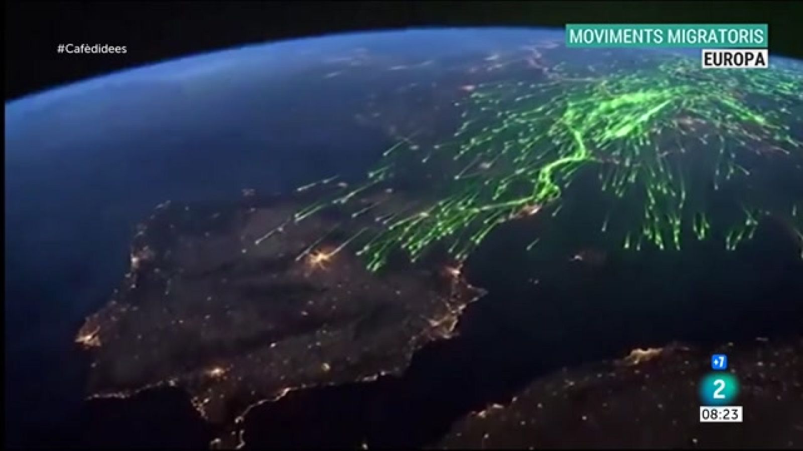 Cafè d'Idees -  Milers de quilòmetres de milers d'ocells en pocs segons - Cafè d'idees | Veure