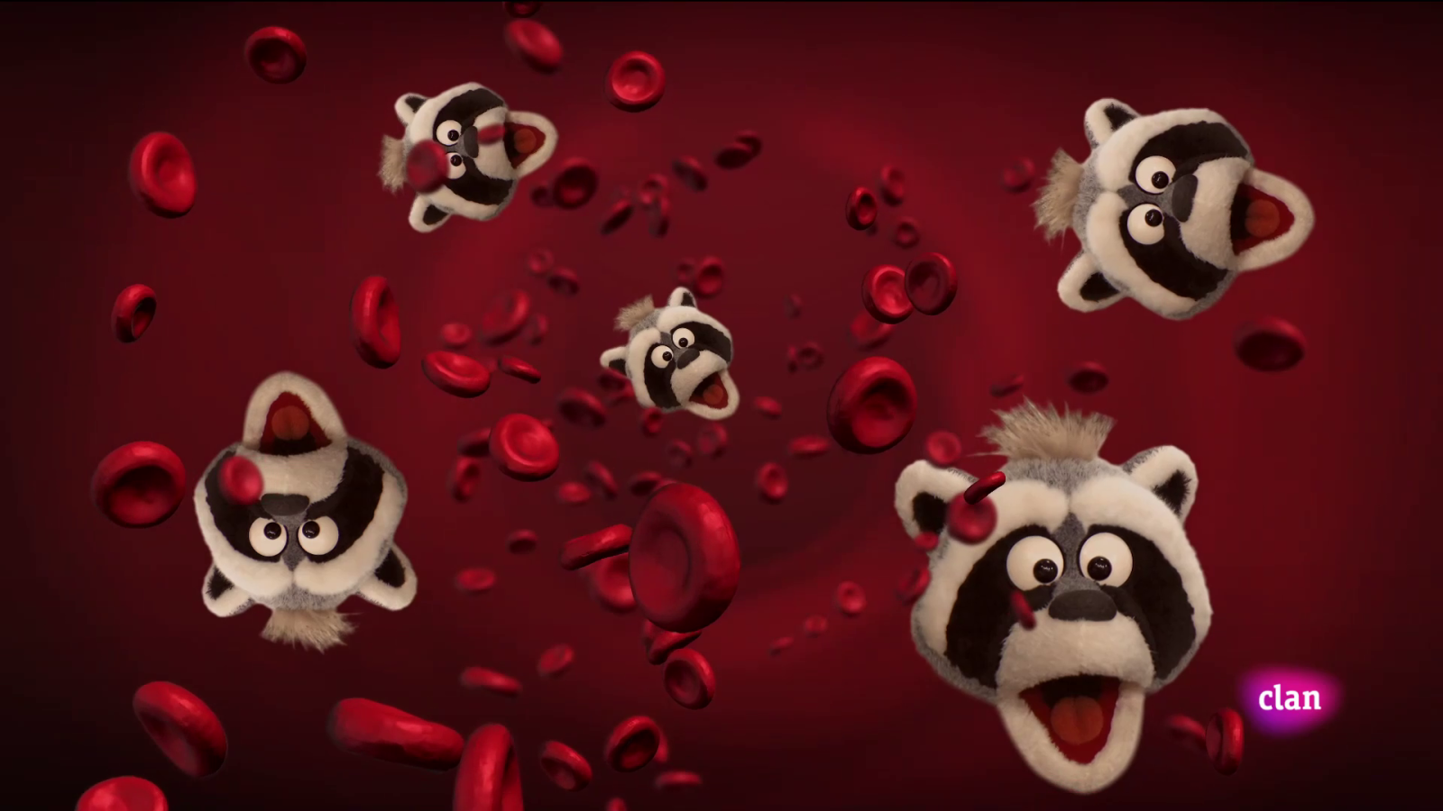 Aprendemos en Clan - 'Está mapachando' - Microorganismo mapache y más - RTVE.es - Aprendemos en Clan | Ver