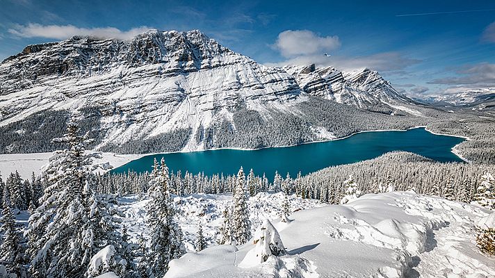 El año de la naturaleza canadiense - Invierno