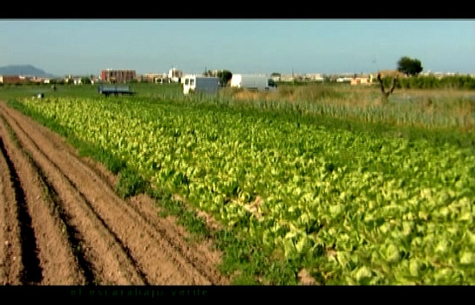 "La alegría de la huerta"