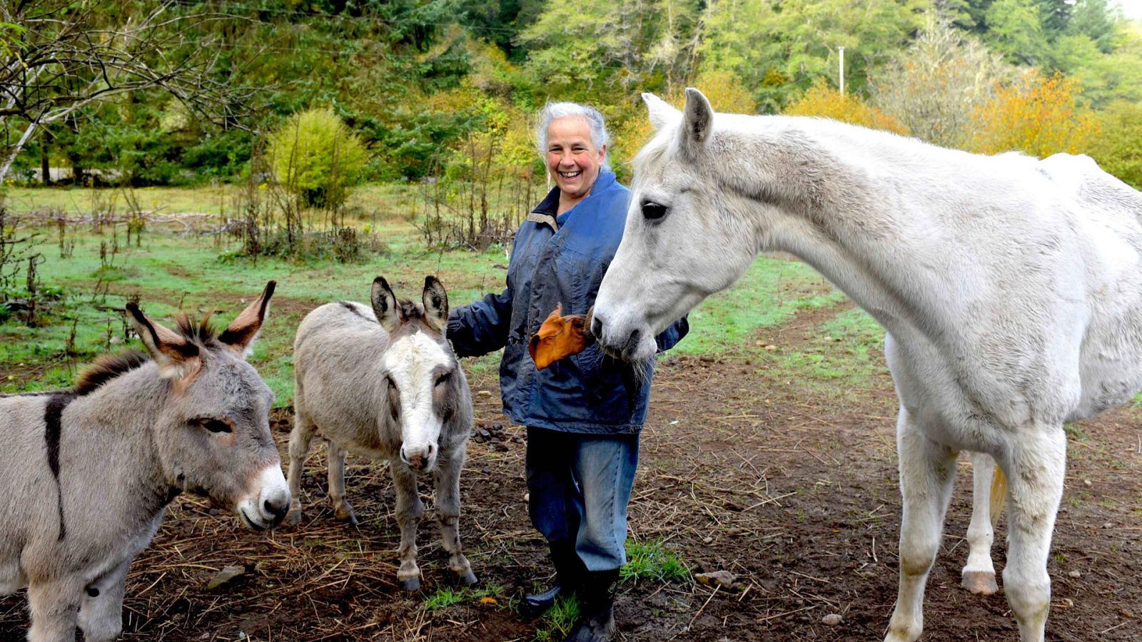 Documentos TV - El pueblo frente al agente naranja - Ver ahora