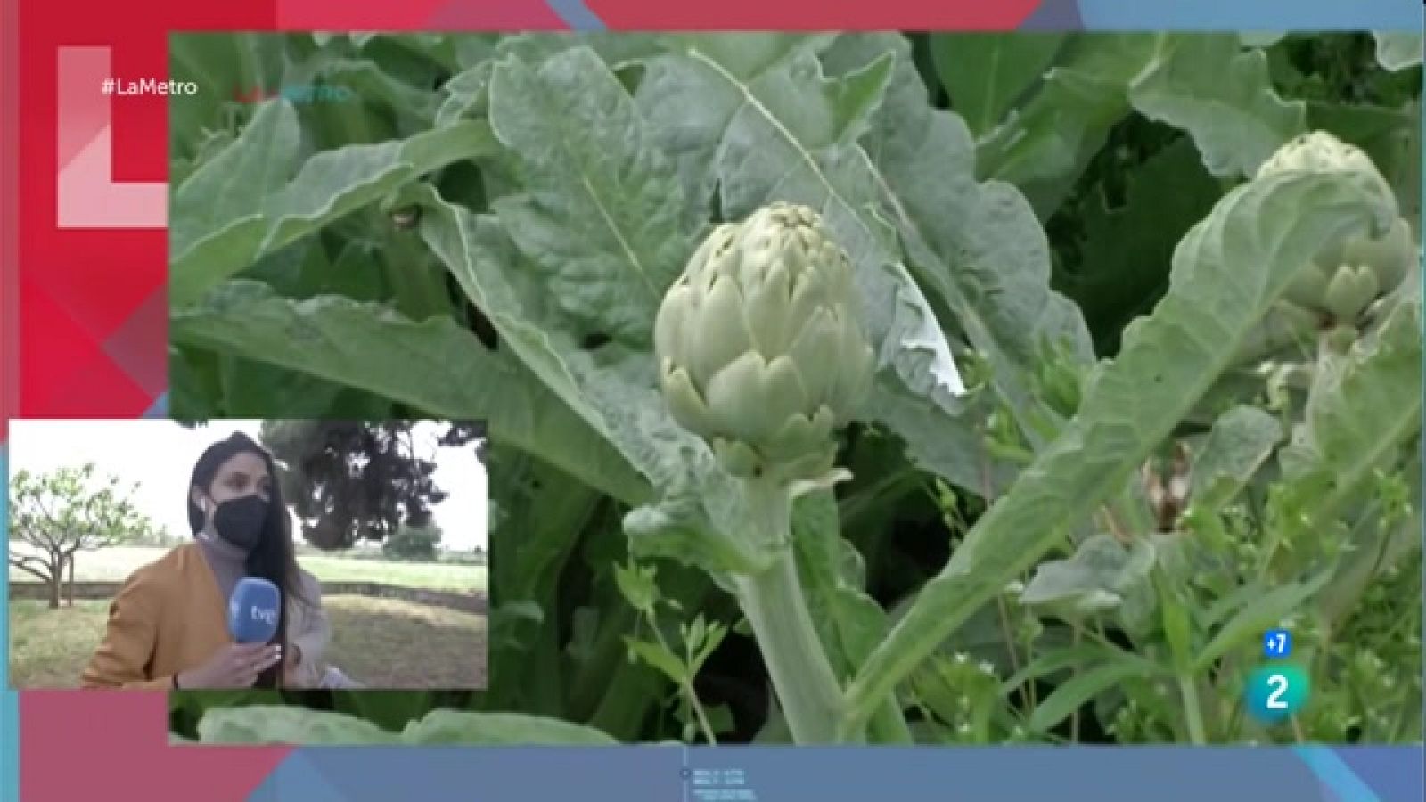 Campanya #MengemCarxofa al Prat de Llobregat| La Metro - La Metro | Veure