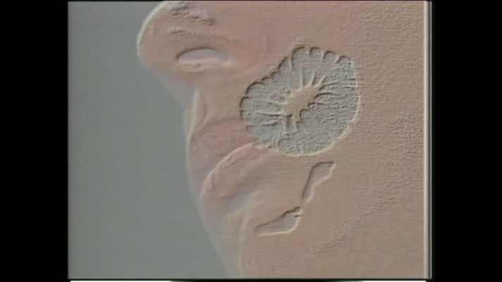 Metrópolis - Metápolis. El fin de la ciudad