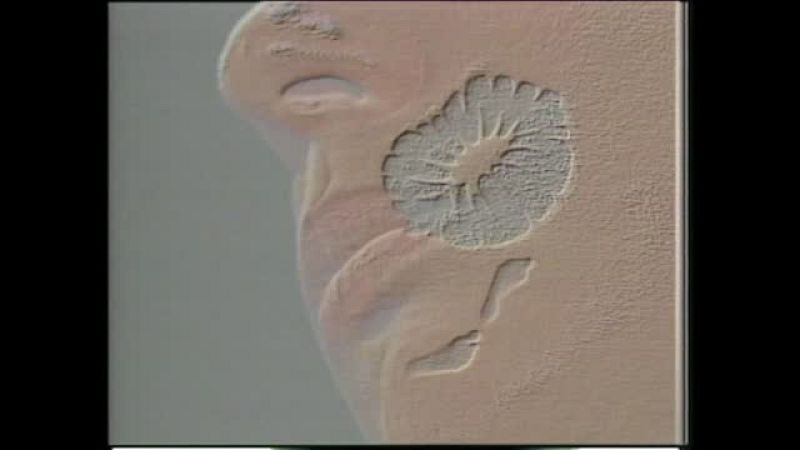 Metrópolis - Metápolis. El fin de la ciudad - Ver ahora