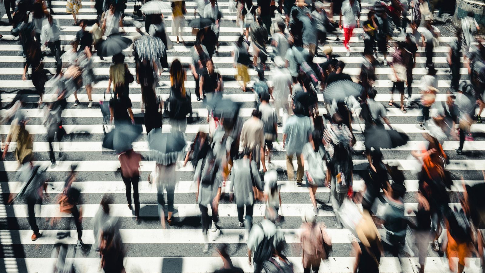 Huellas de la civilización - Sociedad - Ver ahora