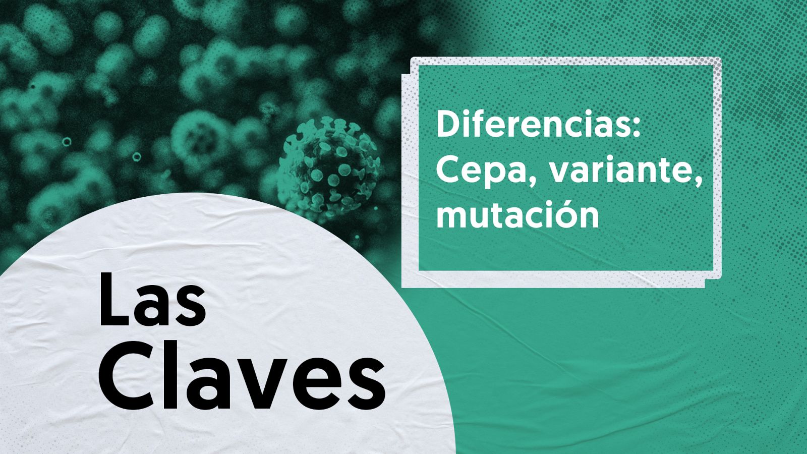 CLAVES: DIFERENCIAS ENTRE VARIANTE, CEPA Y MUTACIÓN