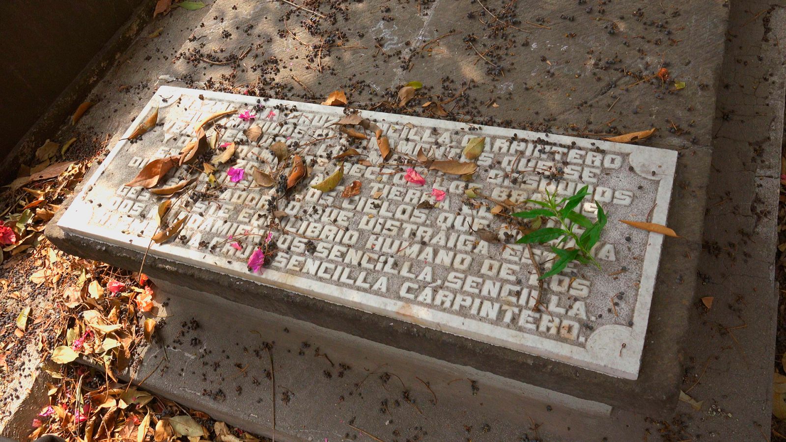 Imprescindibles - León Felipe, el poeta peregrino - Ver ahora