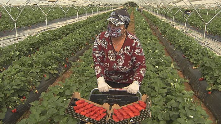 Agrosfera - Agrosfera - 17/04/21