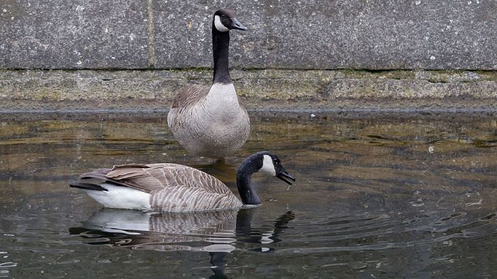 El tiempo - Predominio de cielos nubosos o despejados