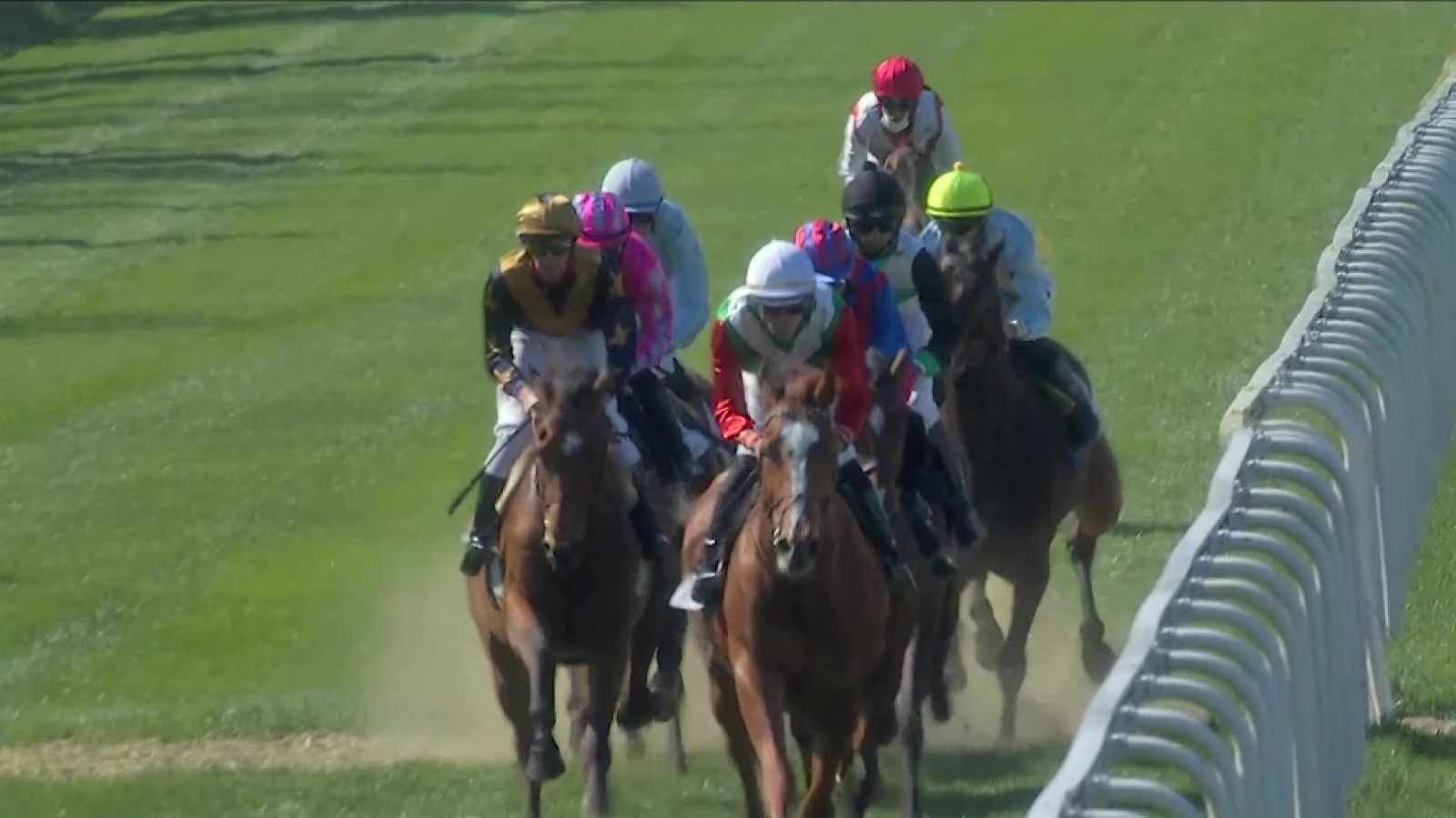 Hípica - Circuito nacional de carreras de caballos desde el hipódromo de La Zarzuela - ver ahora