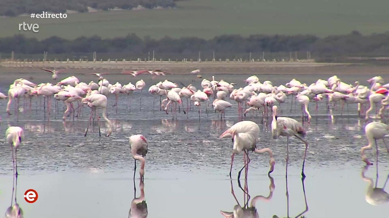 España Directo - 19/04/21 - ver ahora