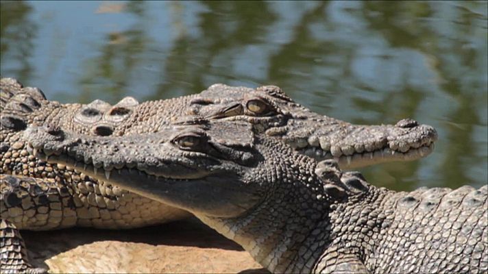 Nacido explorador - Australia, el outback secreto
