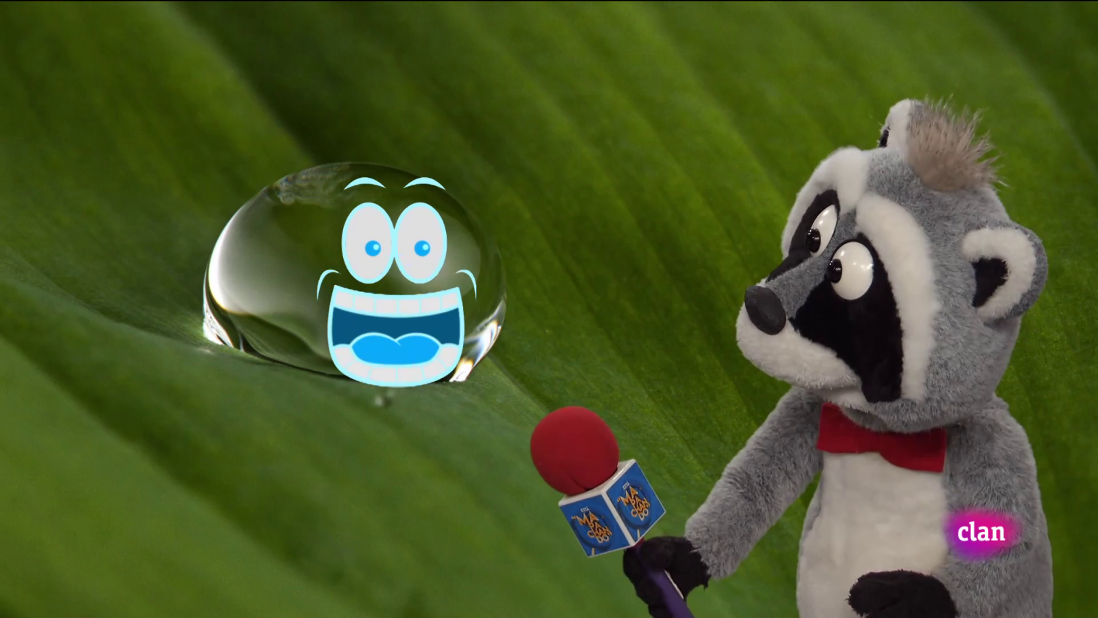 Aprendemos en Clan - 'Está mapachando' - El Coto de Doñana y mucho más - RTVE.es - Aprendemos en Clan | Ver